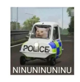 👮 NINUNINUNINU chat, police, voiture, mème, drôle telegram sticker