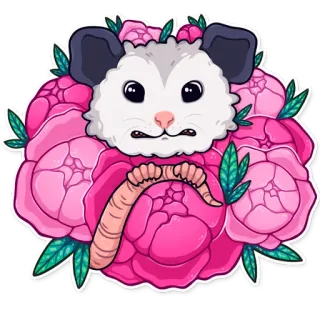 🌺 опоссум, цветы, розовый, милый, животное, мультфильм whatsapp sticker