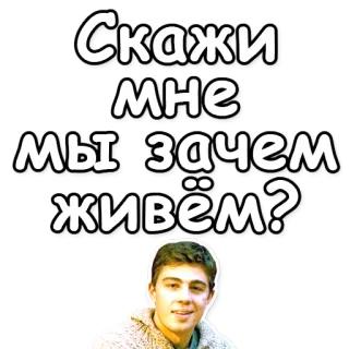 😇 Скажи мне мы зачем живём? ruso, cita, pregunta, cara, persona whatsapp sticker