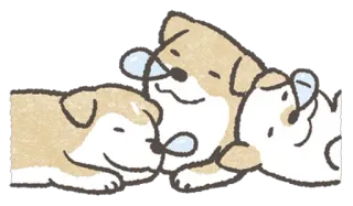 😴 cachorro, shiba inu, filhotes, sono, fofo, desenho animado, animal whatsapp sticker