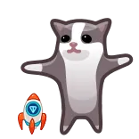 🚀 gatto, razzo, meme, animale, carino telegram sticker
