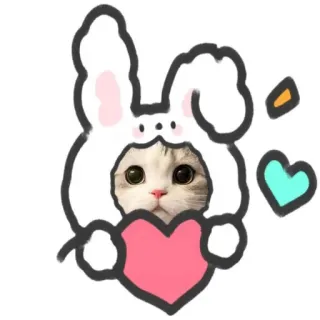 🌟 mèo, động vật, dễ thương, thỏ, trái tim, nhãn dán telegram sticker