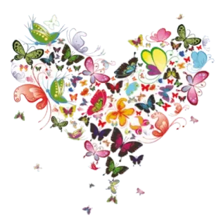 🦋 vlinders, hart, kleurrijk, insecten, natuur, vliegend telegram sticker