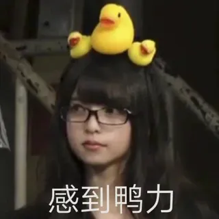 🥴 感到鸭力 frau, brille, ente, haare, lustig whatsapp sticker