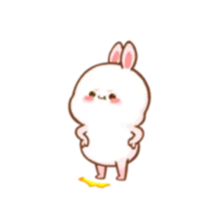 😤 królik, słodki, zwierzę, kreskówka whatsapp sticker