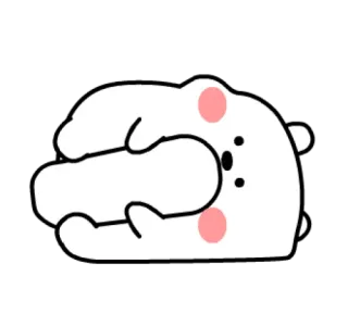 ✨ ours, mignon, animal, dessin animé, autocollant whatsapp sticker