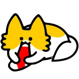 🧦