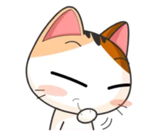 😏 chat, mignon, animal, autocollant, calico, chaton whatsapp sticker