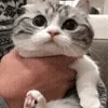 🤗