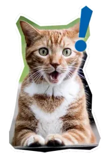 😮 แมว, สัตว์, สัตว์เลี้ยง, เครื่องหมายอัศเจรีย์, เซอร์ไพรส์, แจ้งเตือน telegram sticker