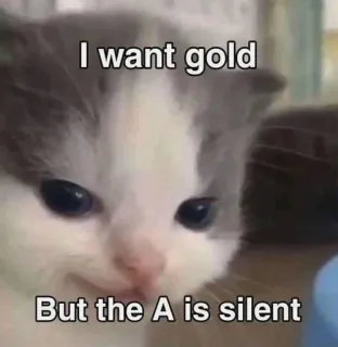 😏 I want gold
But the A is silent cat, kitten, meme, gold telegram sticker