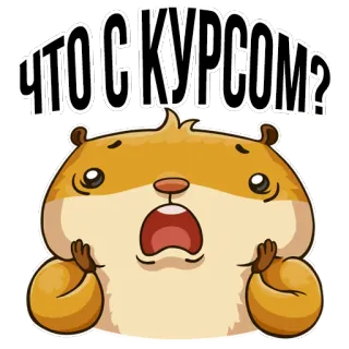 😱 ЧТО С КУРСОМ? แฮมสเตอร์, น่ารัก, สติกเกอร์, คำถาม, สกุลเงิน, อัตราแลกเปลี่ยน telegram sticker
