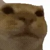 😕