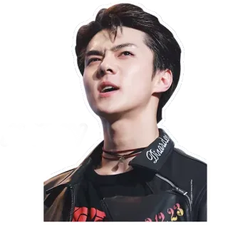 😩 Sehun Sehun, K-pop, singer, celebrity, korean, idol whatsapp sticker