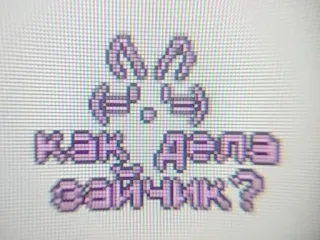 🐰 как дела зайчик? coelho, pixel art, cumprimento, russo, coelhinho, fofo whatsapp sticker