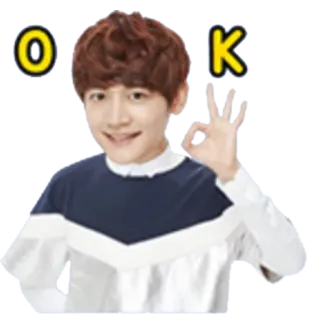 👌 OK ok, gesto, asiático, aprovação, acordo telegram sticker