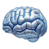 🧠