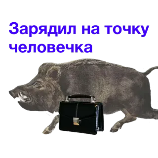 🏹 Зарядил на точку человечка jabalí, jabalí, animal, maleta telegram sticker