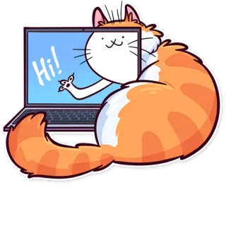👋 Hi! cat, laptop, computer, animal, hello telegram sticker