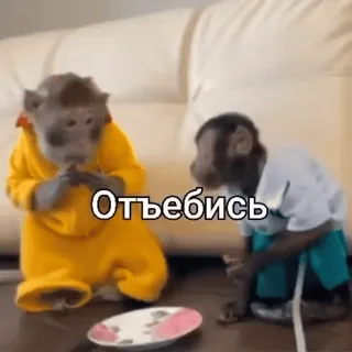 😡 Отъебись ลิง, สัตว์, มีม, หยาบคาย whatsapp sticker
