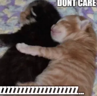 🛏️ DONT CARE Zzzzzzzzzzzzzzzzzzz... telegram sticker
