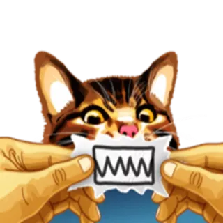 😡 кот, животное, питомец, злой, мем, смешной, иллюстрация whatsapp sticker