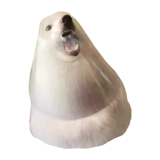🐚 犬, ミーム, 動物, ペット, 叫ぶ, 面白い, Doge telegram sticker