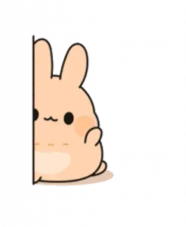 🖐 lapin, mignon, animal, sticker, kawaii whatsapp sticker