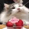 🍧