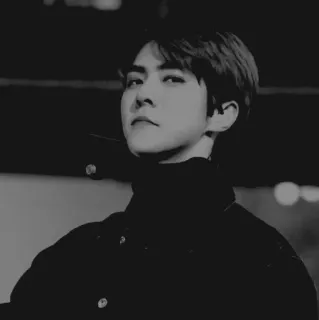 🌜 person, portrait, man, black and white telegram sticker