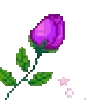 🌷