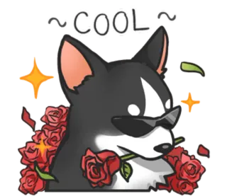 😎 COOL dog, cool, roses, sunglasses, animal, cute telegram sticker