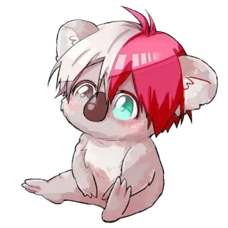 🐨 whatsapp sticker