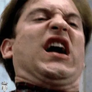 🕷 Peter Parker Meme, Tobey Maguire, Divertido, Expresión, Spider-Man telegram sticker