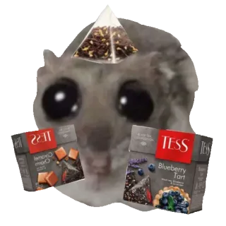 🫖 Sad Hamster TESS sad hamster, tea, tess, cute, meme, hamster, blueberry tart, caramel charm telegram sticker