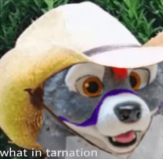 🔫 what in tarnation animal, mapache, sombrero, peludo, meme, condenación telegram sticker