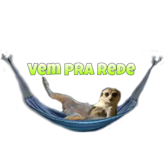 👅 VEM PRA REDE suricate, rede, animal, relaxamento, relaxar telegram sticker