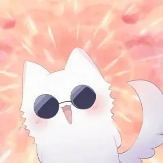 🧊 kot, kreskówka, okulary, naklejka, słodki whatsapp sticker