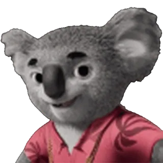 🐨