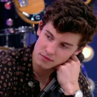 😐 Shawn Mendes singer, musician, celebrity, pop star, portrait telegram sticker