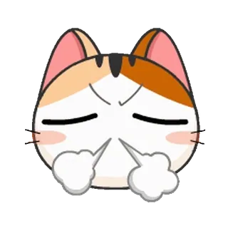 😡 แมว, โกรธ, น่ารัก, มีม, ตลก, สัตว์, สติกเกอร์ telegram sticker