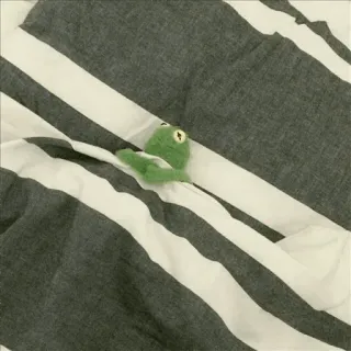 🐸 frog, green, striped, toy, cute, animal telegram sticker