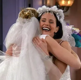🤍 Friends mariage, robe, amitié, mariée, joie, câlin, fête, série télé whatsapp sticker
