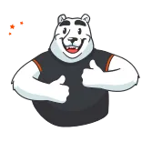 👍 orso, pollice in su, cartone animato, animale, orso bianco, positivo telegram sticker