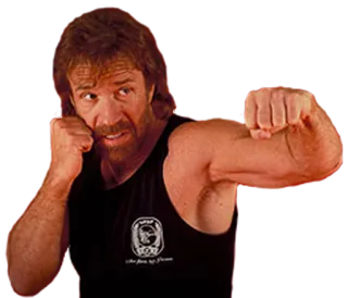 👊 Chuck Norris martial arts, actor, fighter, defense, karate, action telegram sticker
