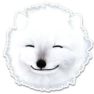 Animals telegram stickers