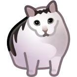 😲 gato, triste, animal, meme, adesivo, fofo, animal de estimação whatsapp sticker