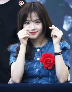 ❤ Jisoo kpop, певица, айдол, азиатка, женщина, jisoo, blackpink telegram sticker