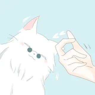 🐈 Katze, Haustier, süß, Tier, lustig, Haustier telegram sticker