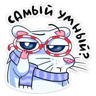 🔹 самый умный? criceto, occhiali, sciarpa, intelligente, pensieroso, carino, animale telegram sticker
